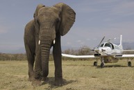 P-750 in South Africa