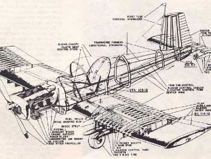 FD25cutawaydrawing.jpg